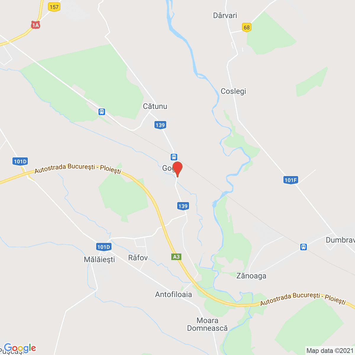 Goga