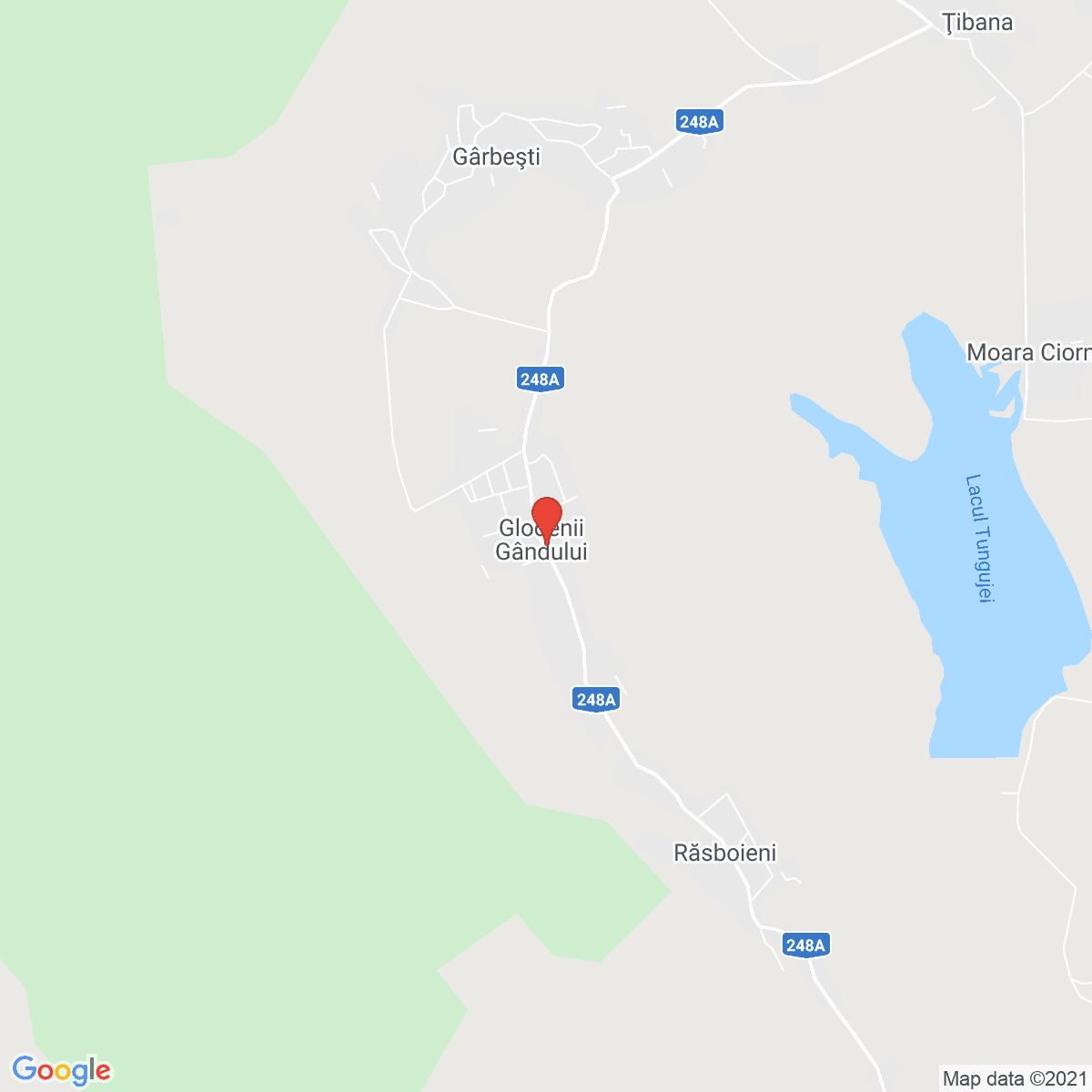 Glodenii Gândului