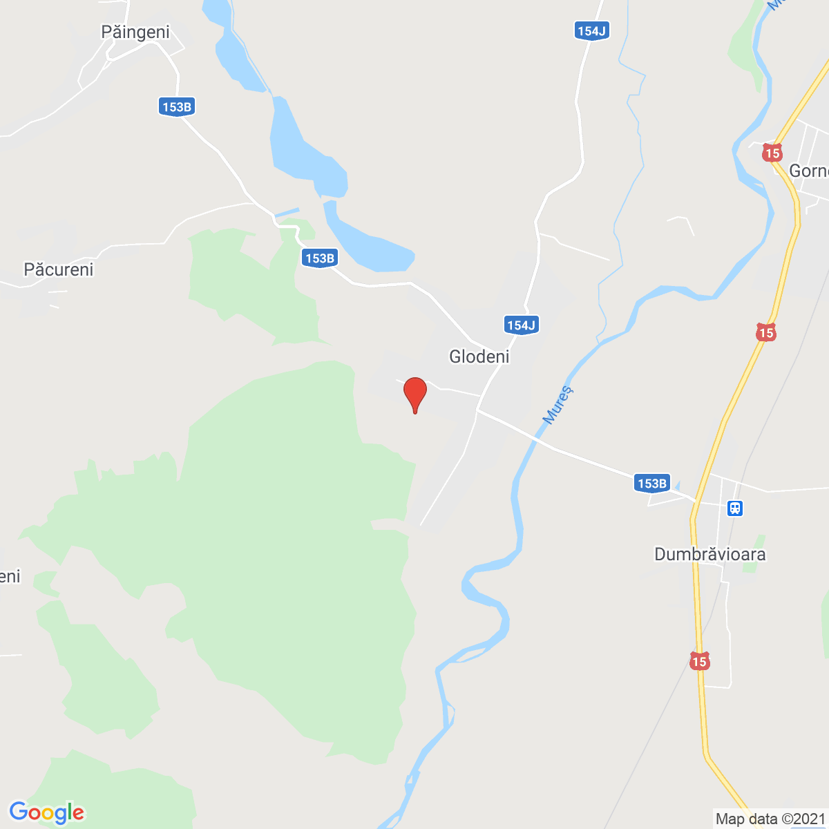 Glodeni