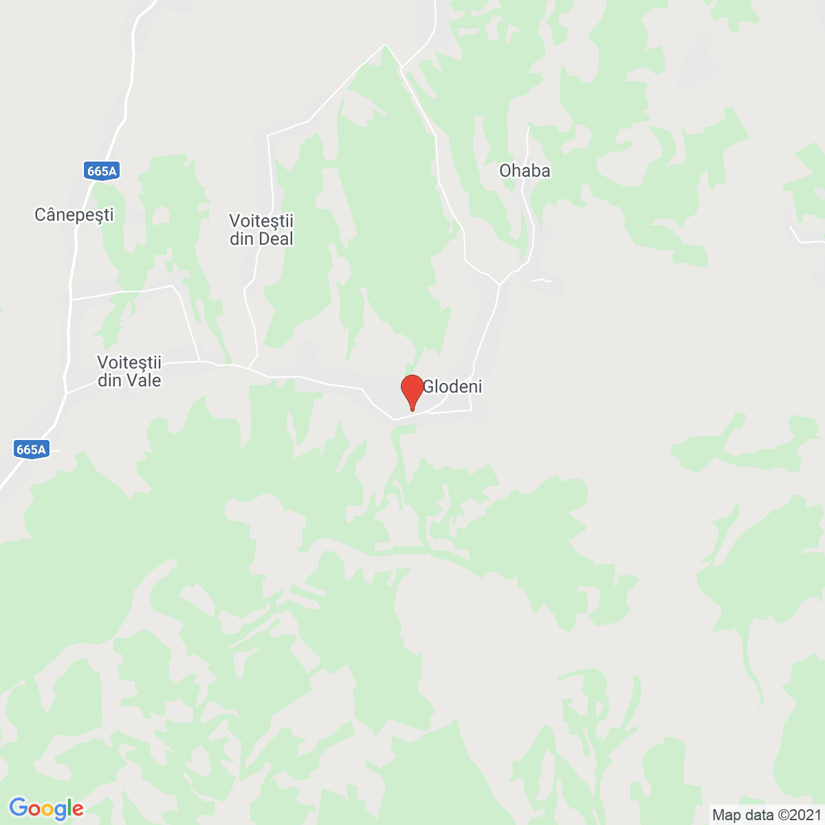 Glodeni