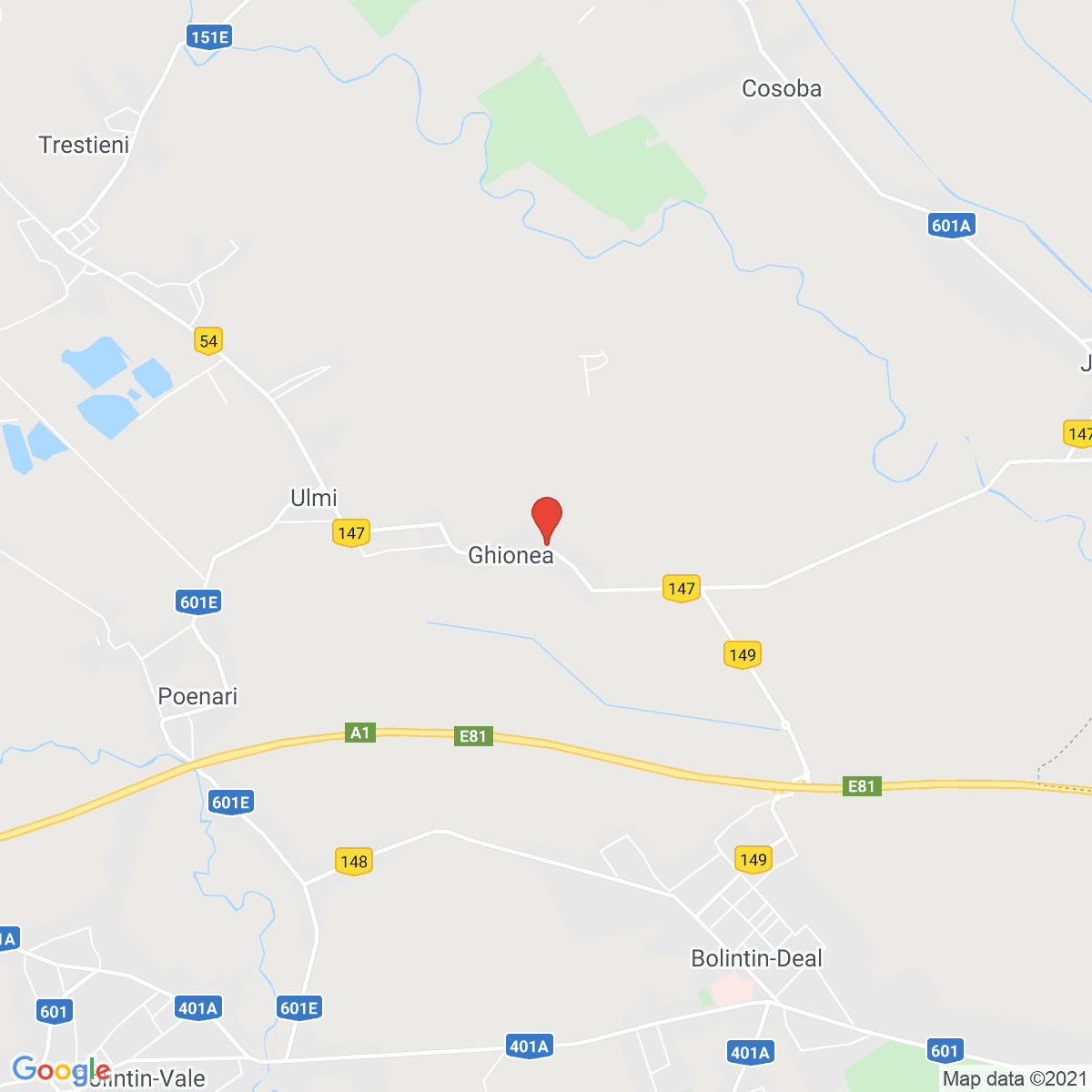Ghionea