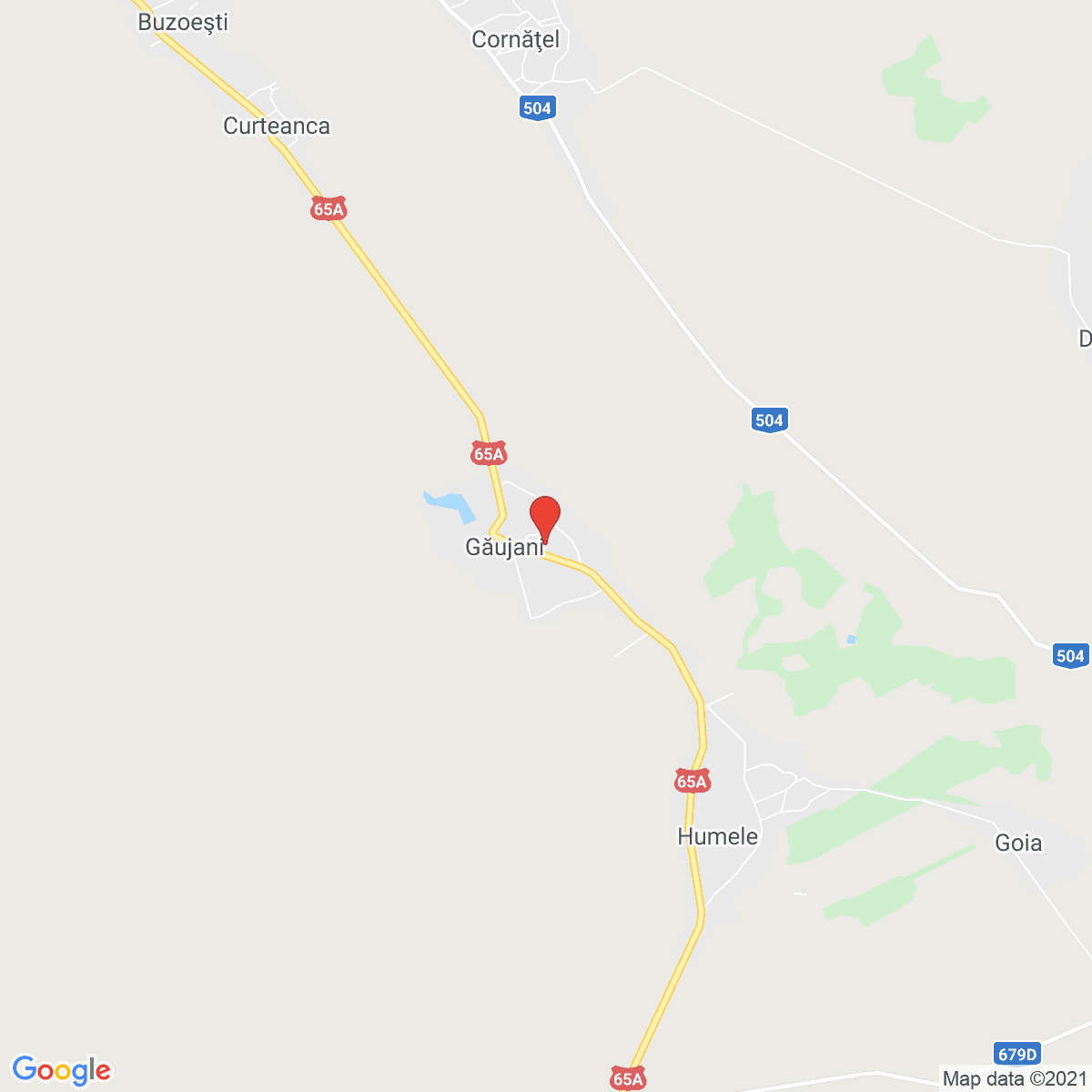 Găujani