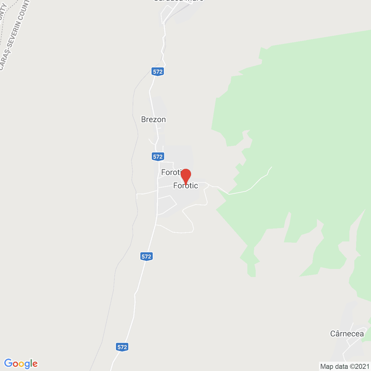 Forotic