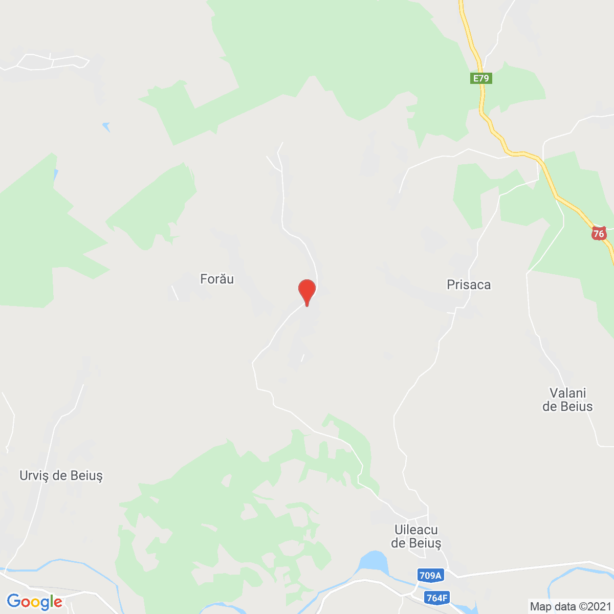 Forău