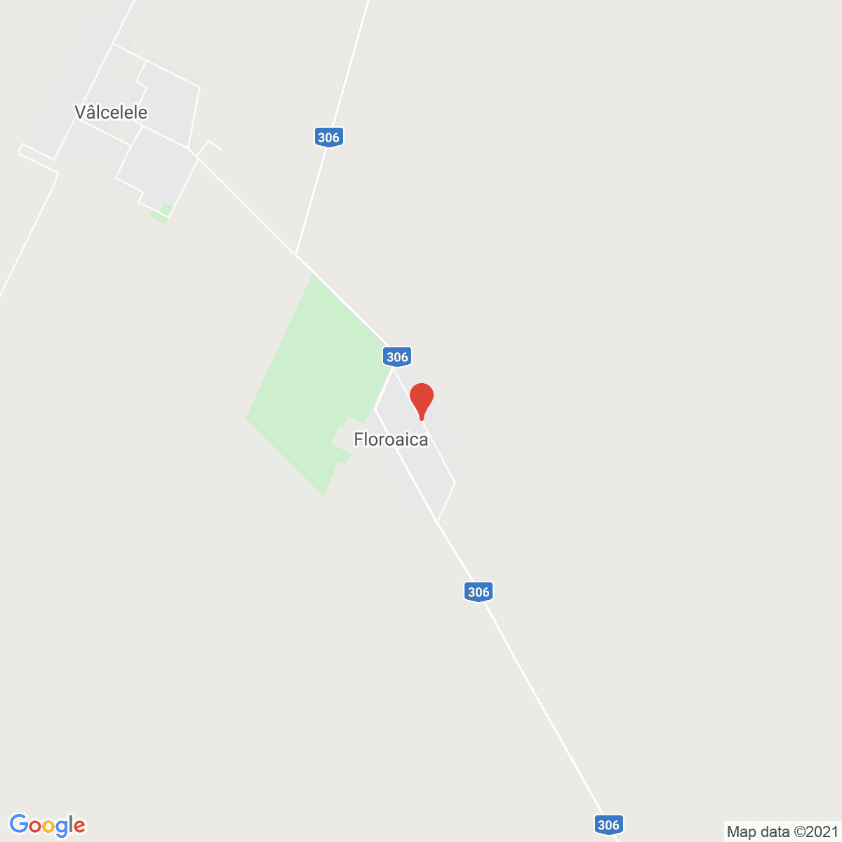 Floroaica
