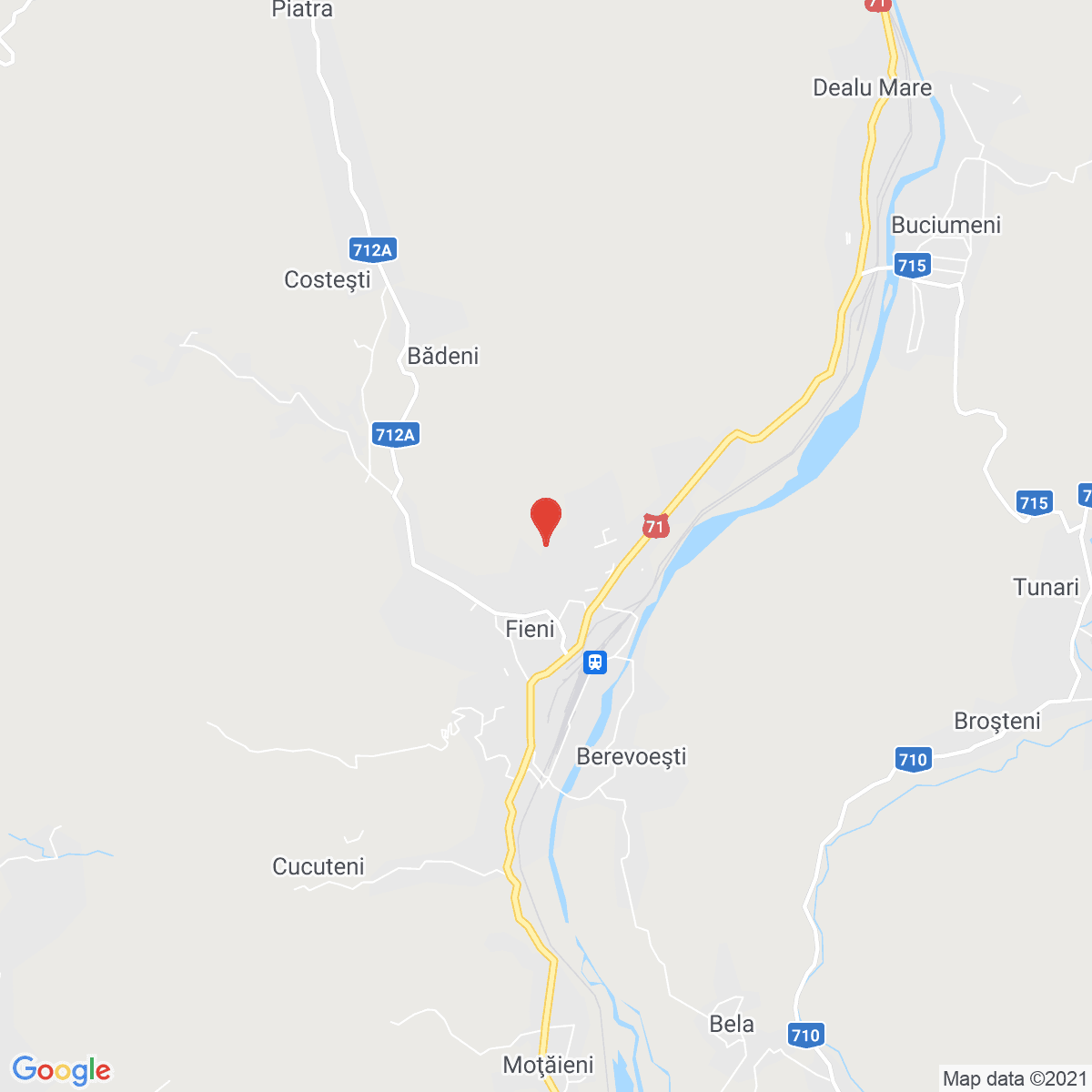 Fieni
