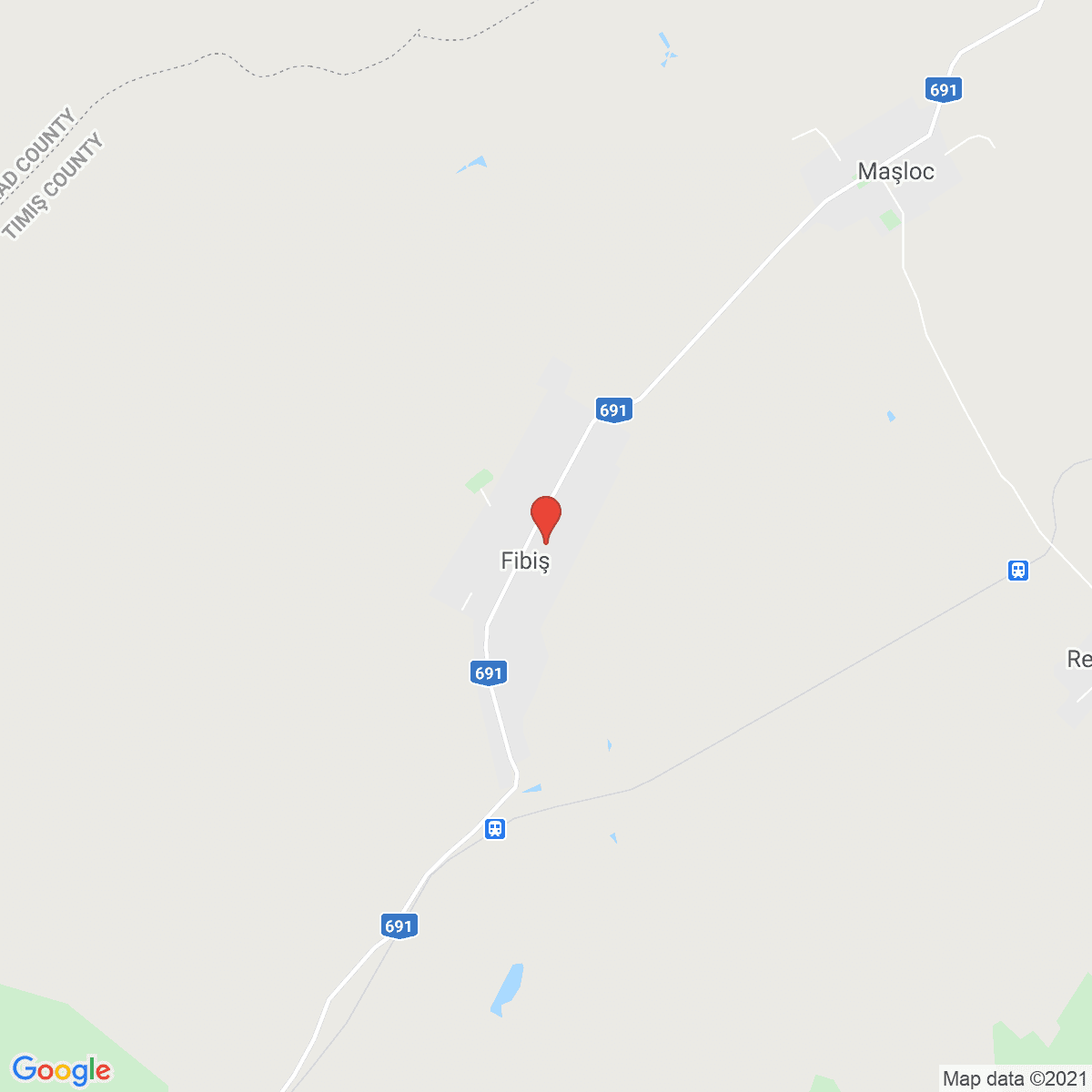 Fibiș
