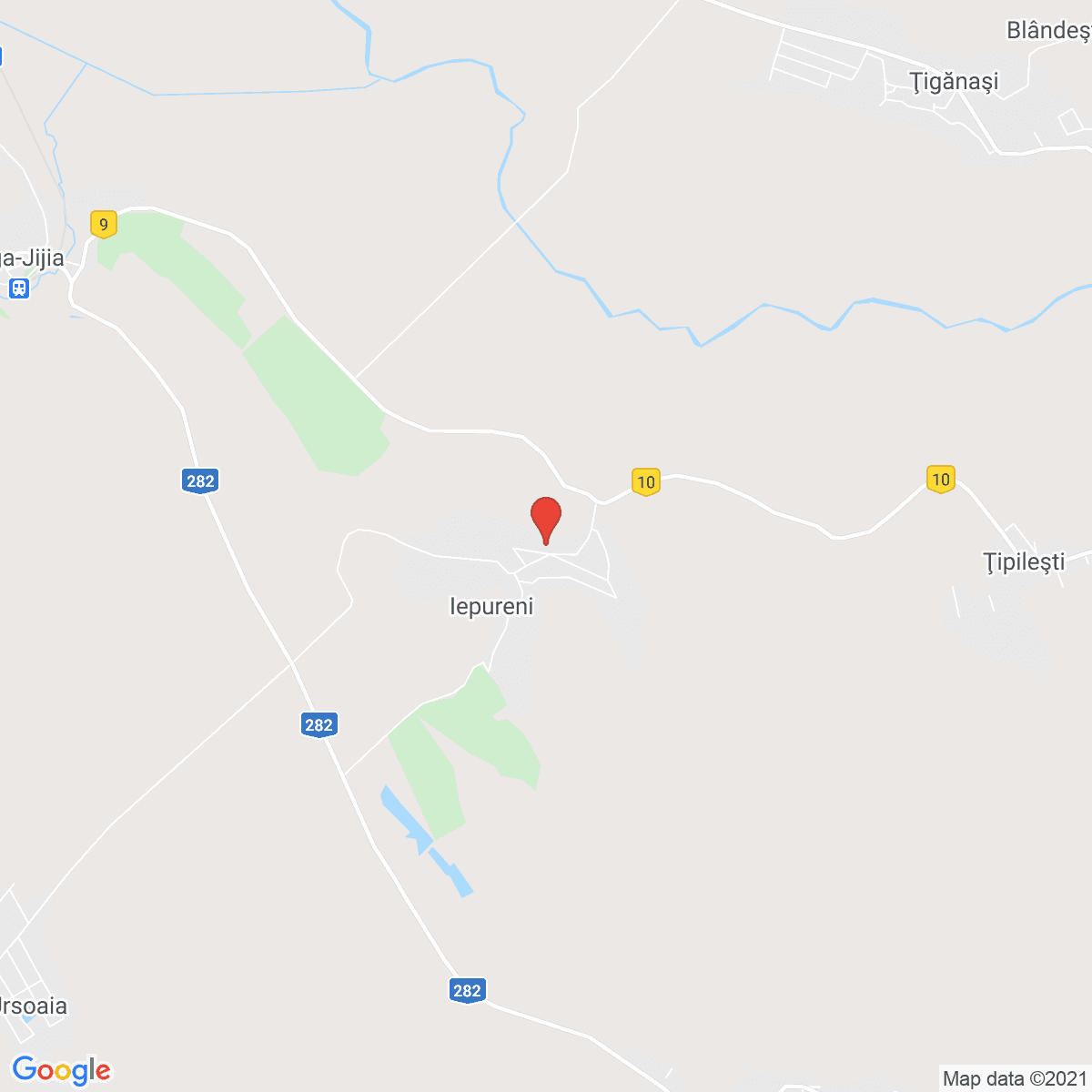 Iepureni