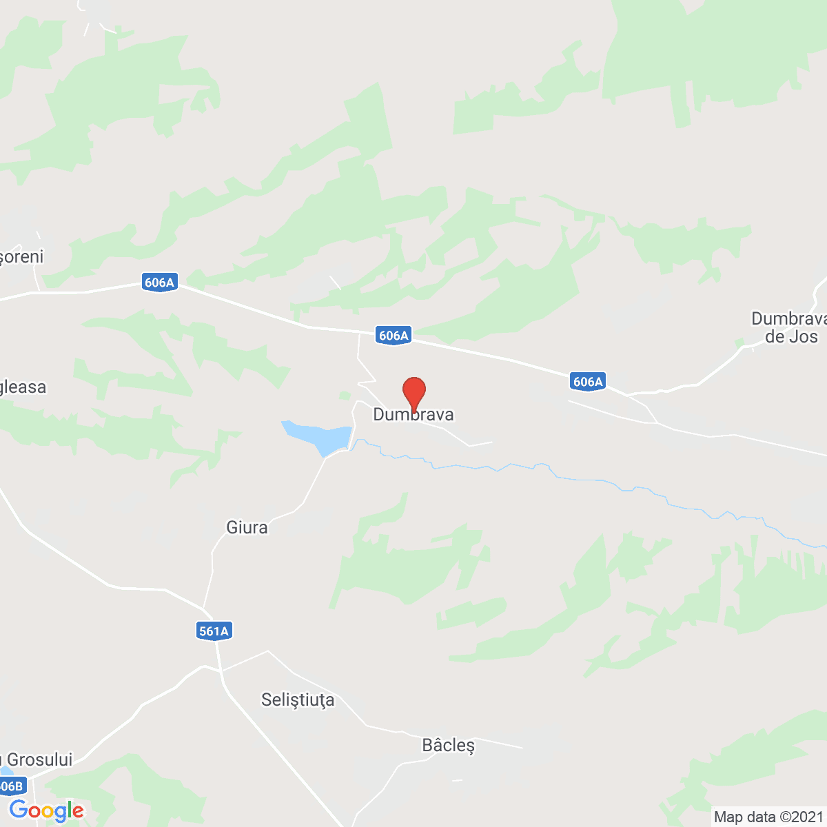 Dumbrava de Sus