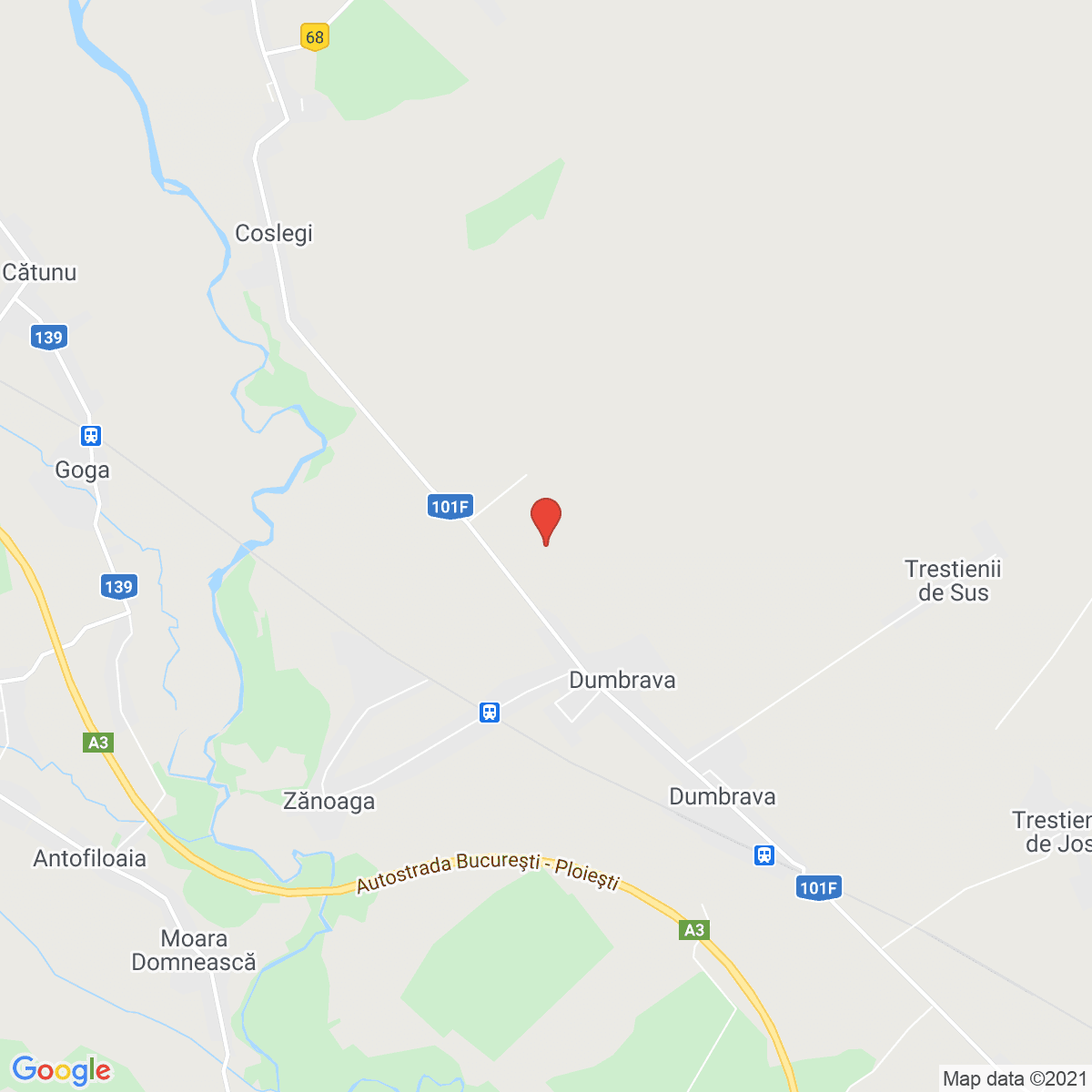 Dumbrava