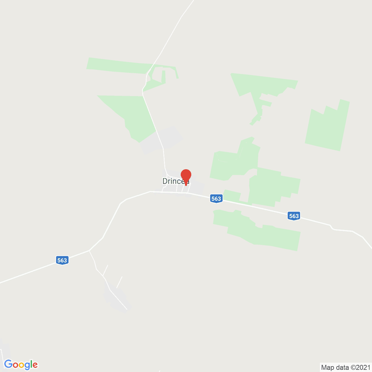 Drincea