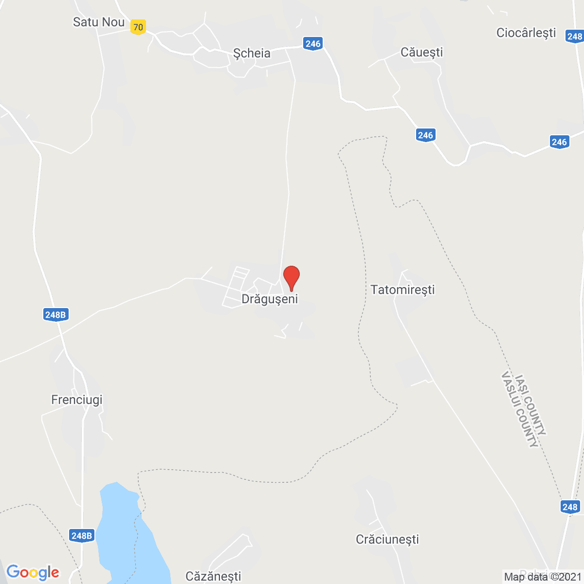 Drăgușeni