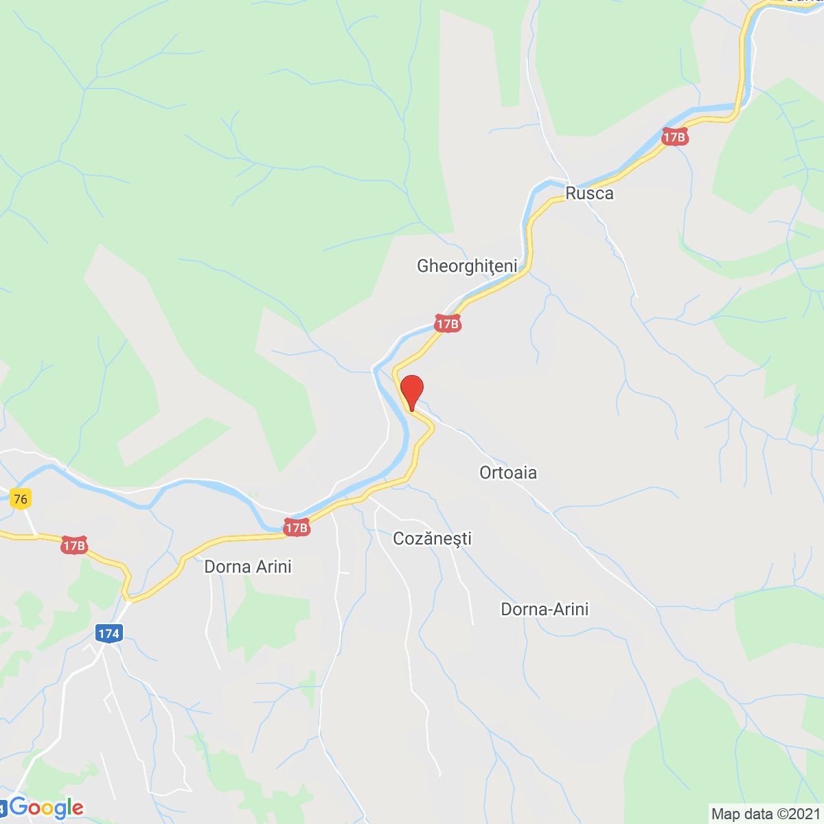 Ortoaia