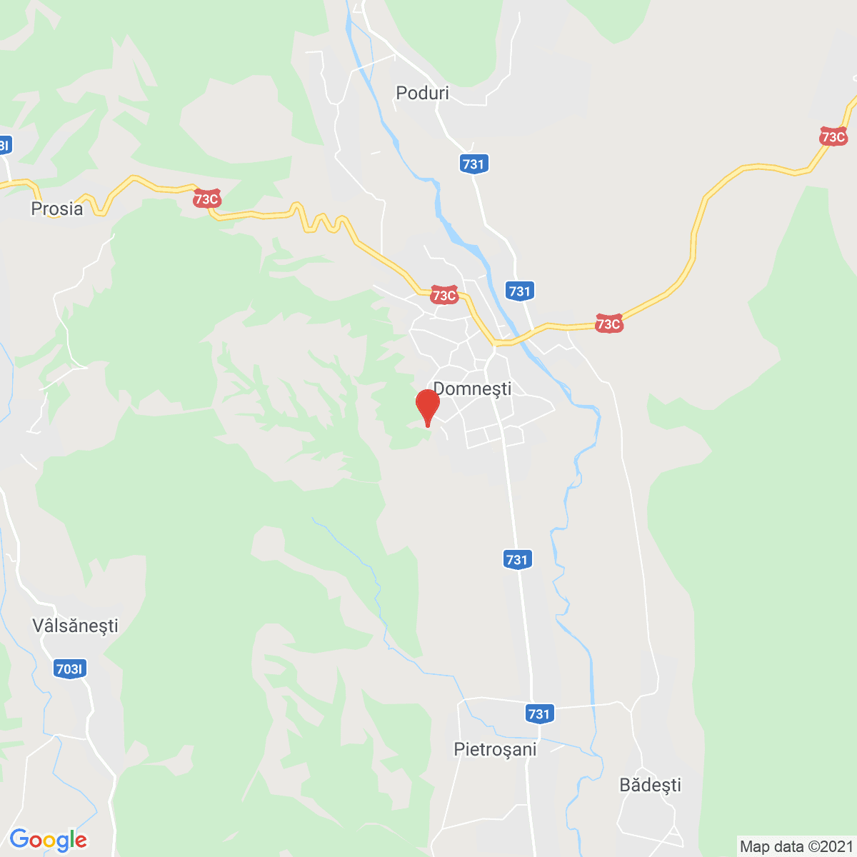 Domneşti