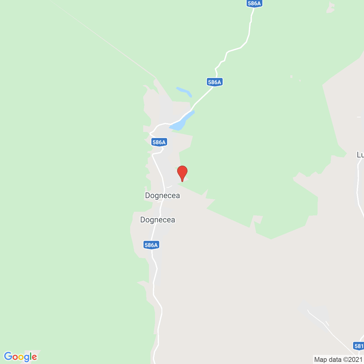 Dognecea