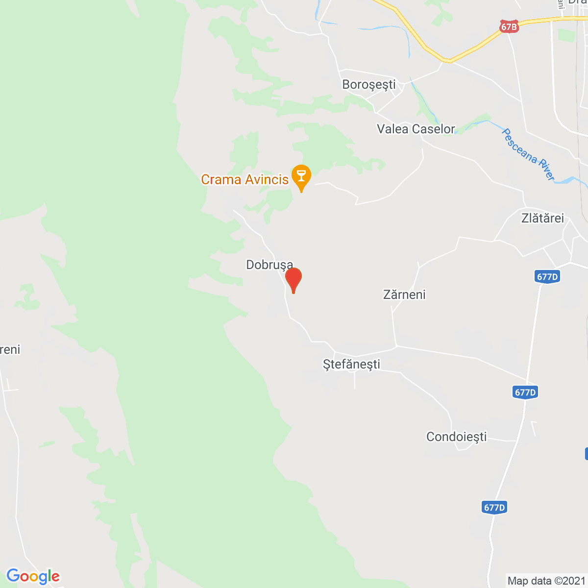Dobrușa