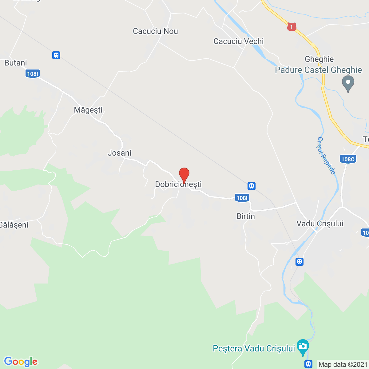 Dobricionești