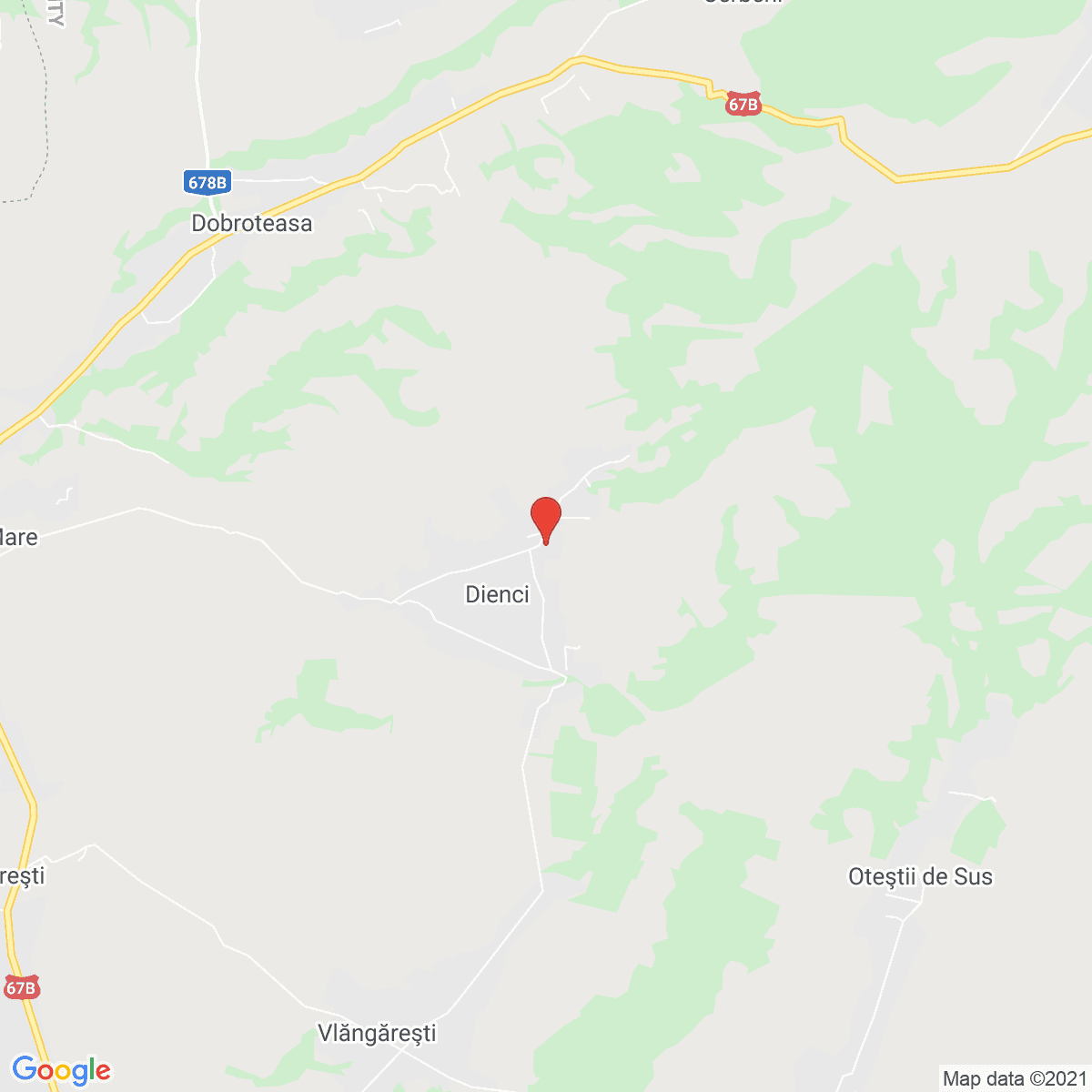 Dienci