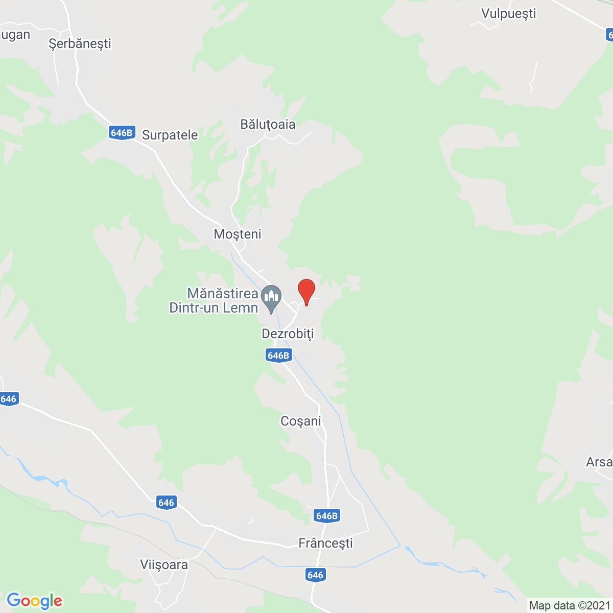 Dezrobiți