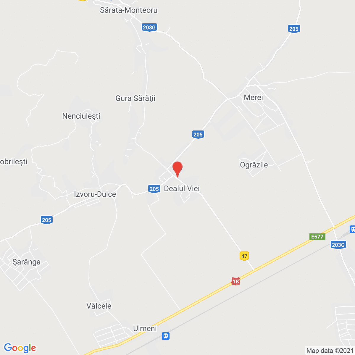 Dealul Viei