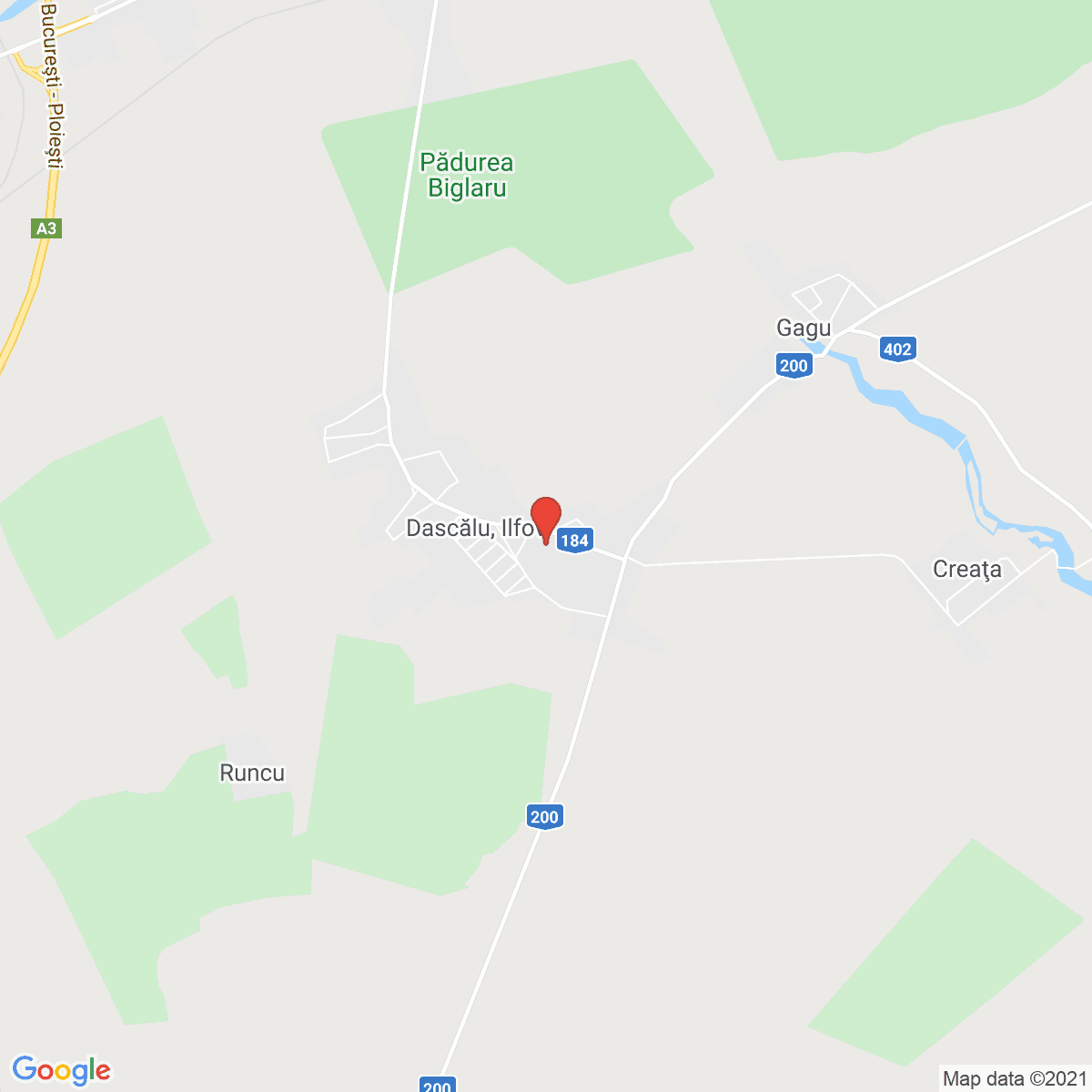 Dascălu