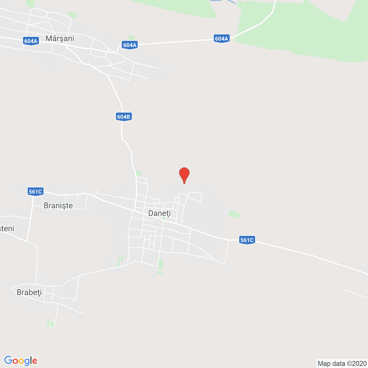 Dăneţi