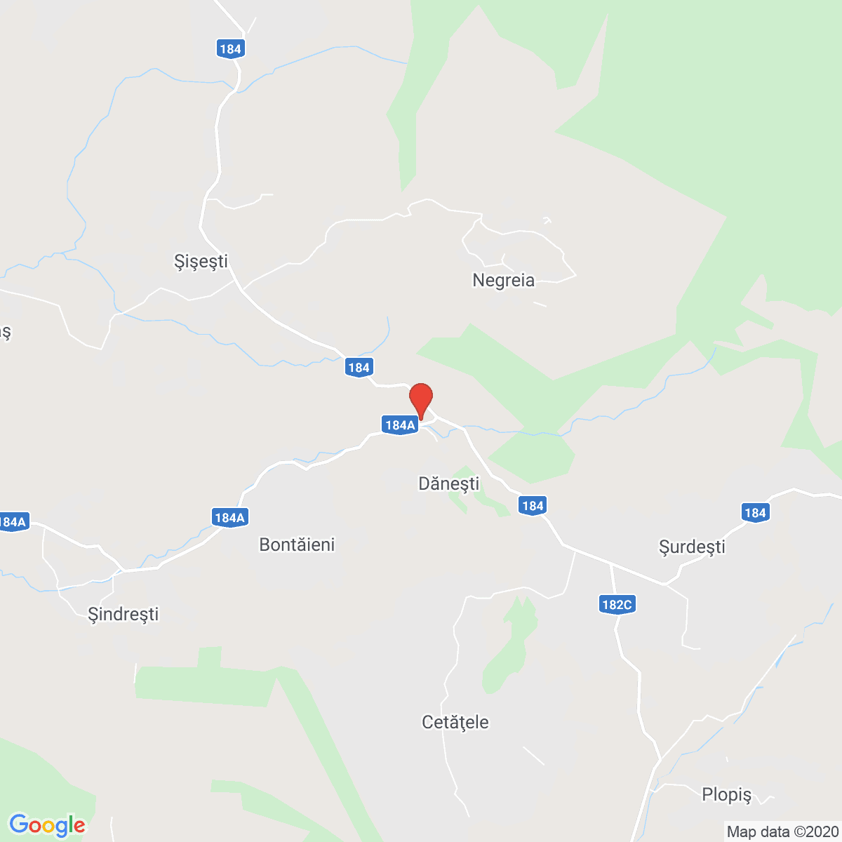 Dănești