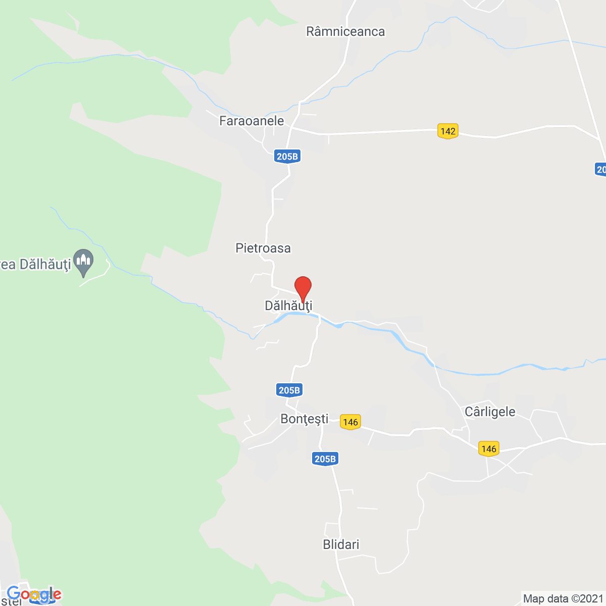 Dălhăuți