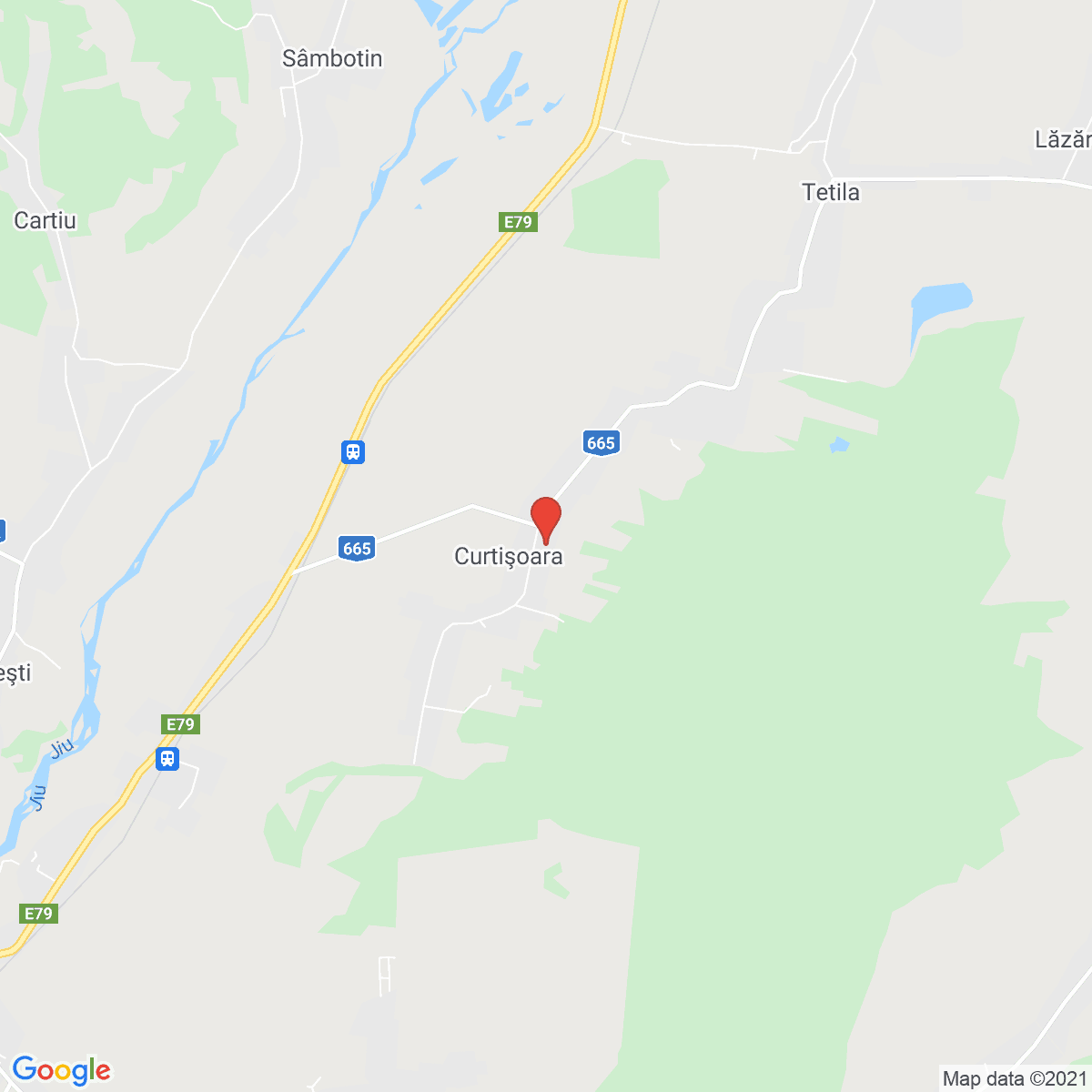 Curtișoara
