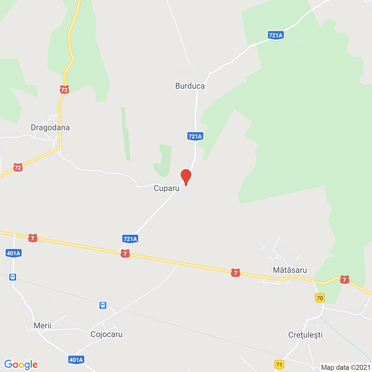 Cuparu