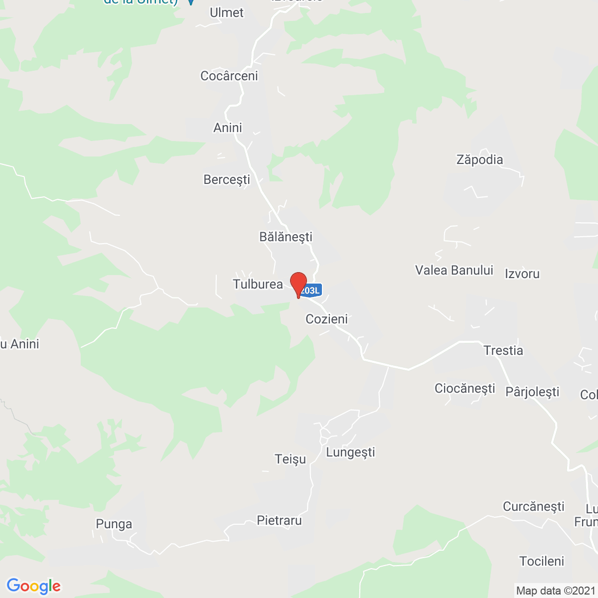 Cozieni