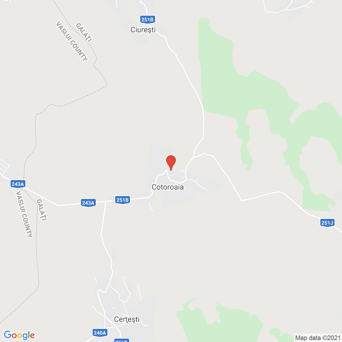 Cotoroaia