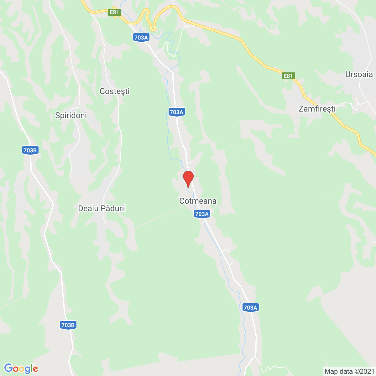 Cotmeana