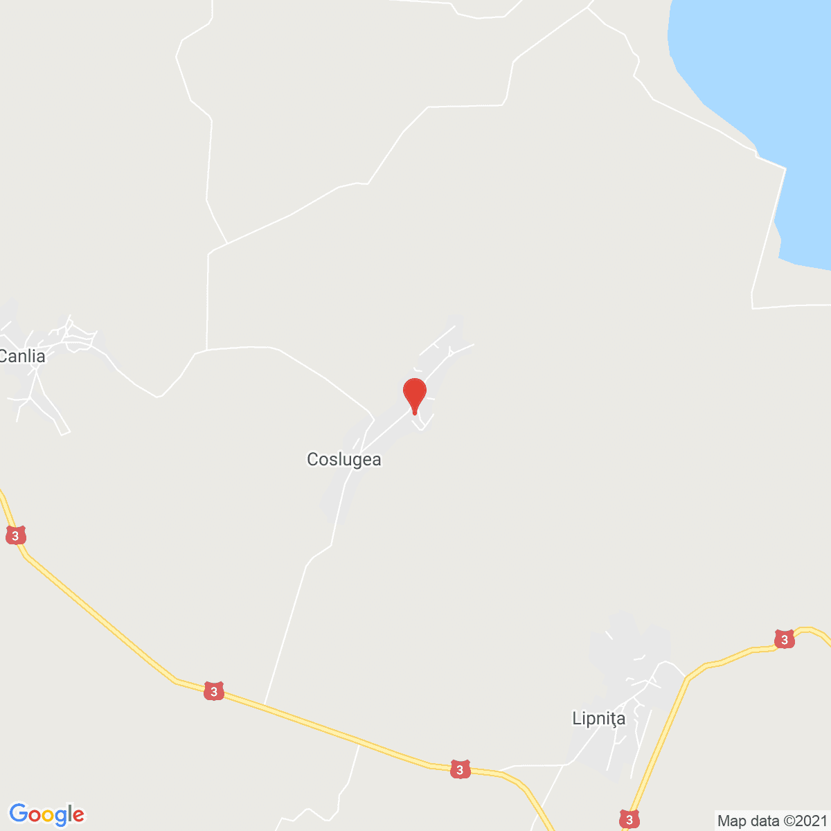 Coslugea
