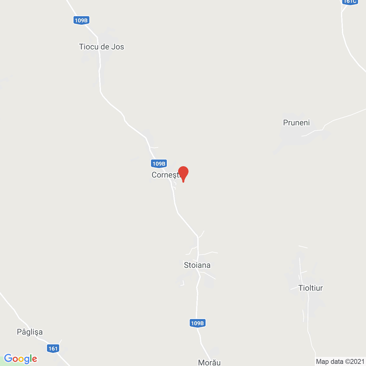 Corneşti