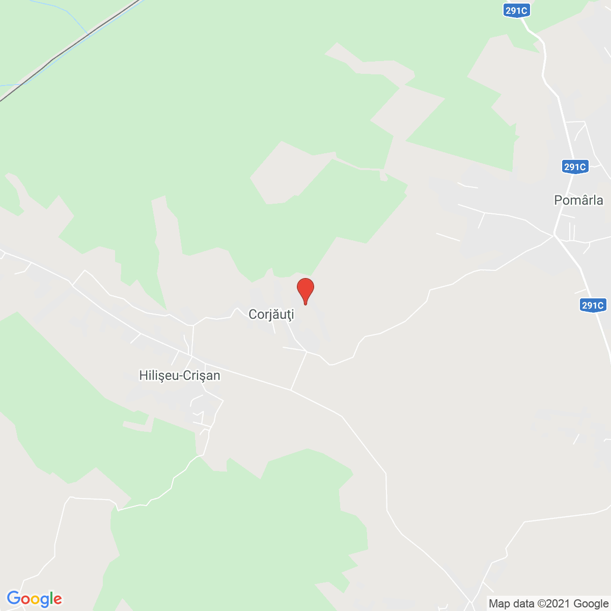 Corjăuți