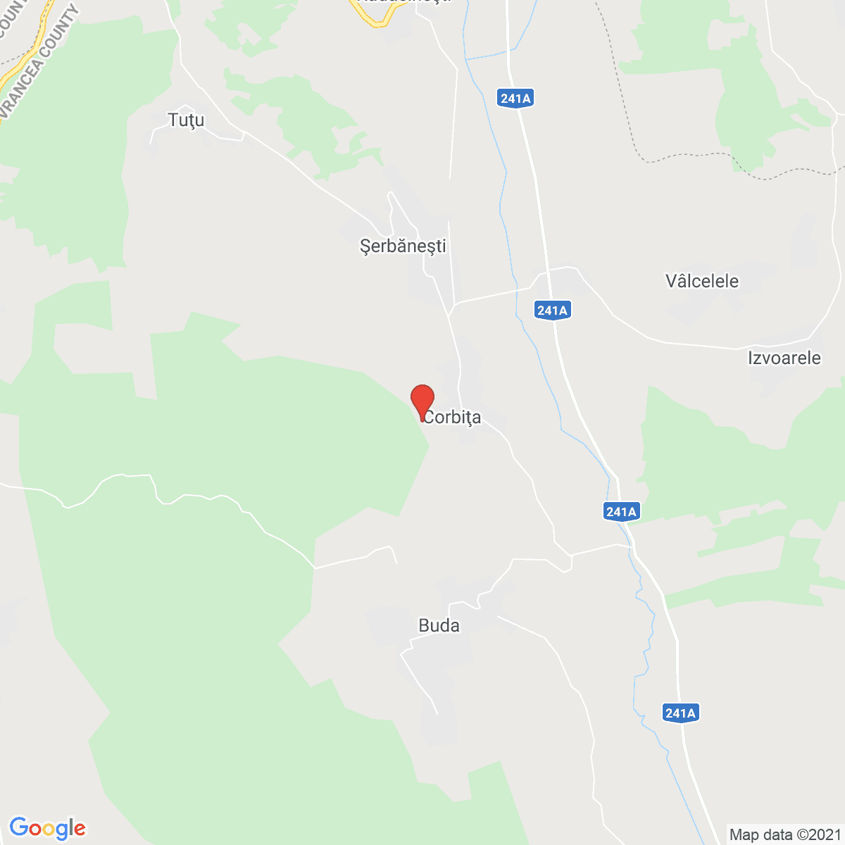 Corbiţa