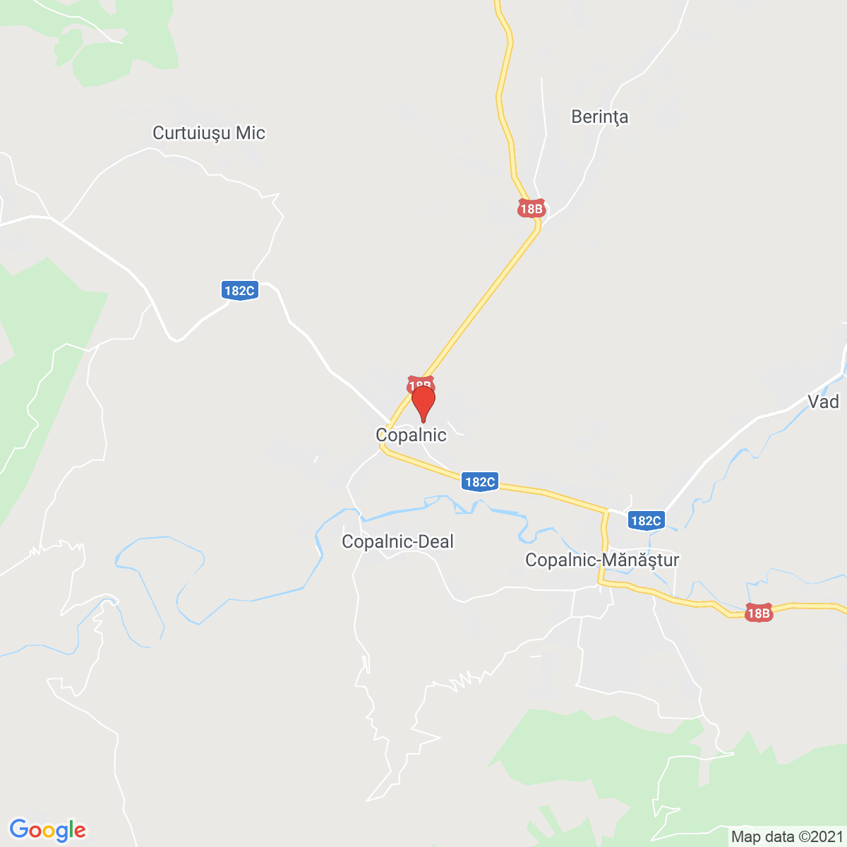 Copalnic