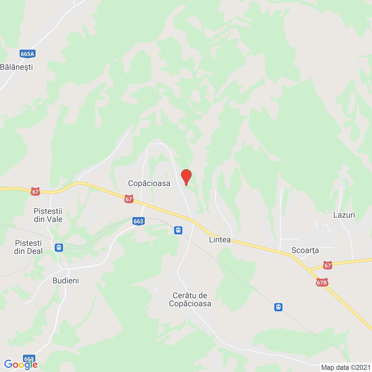 Copăcioasa