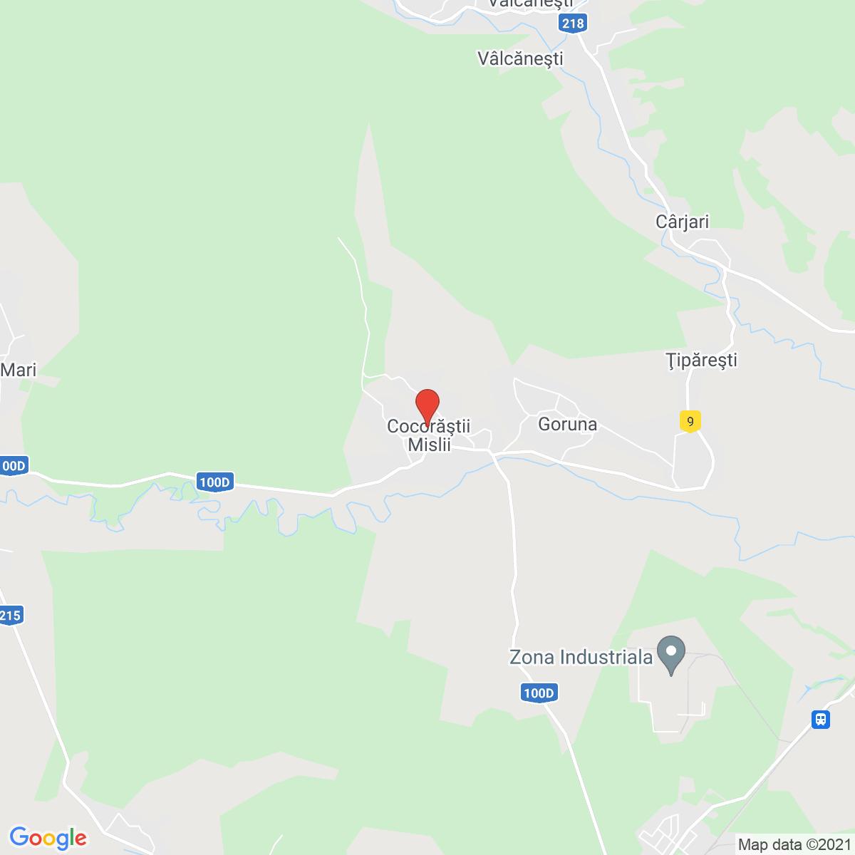Cocorăștii Mislii