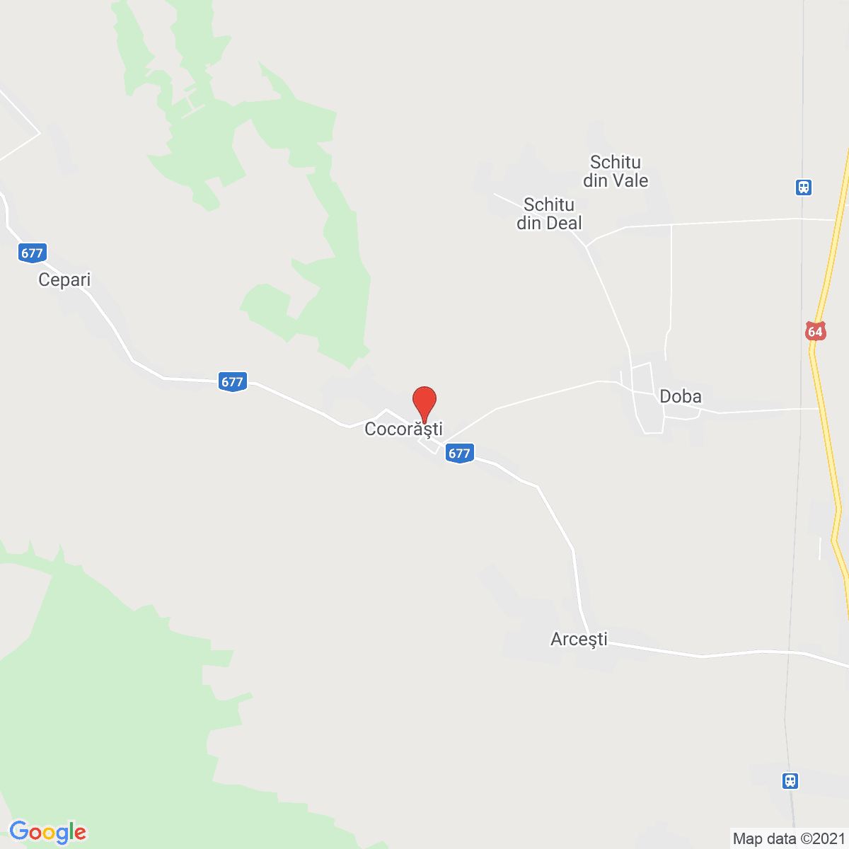Cocorăști