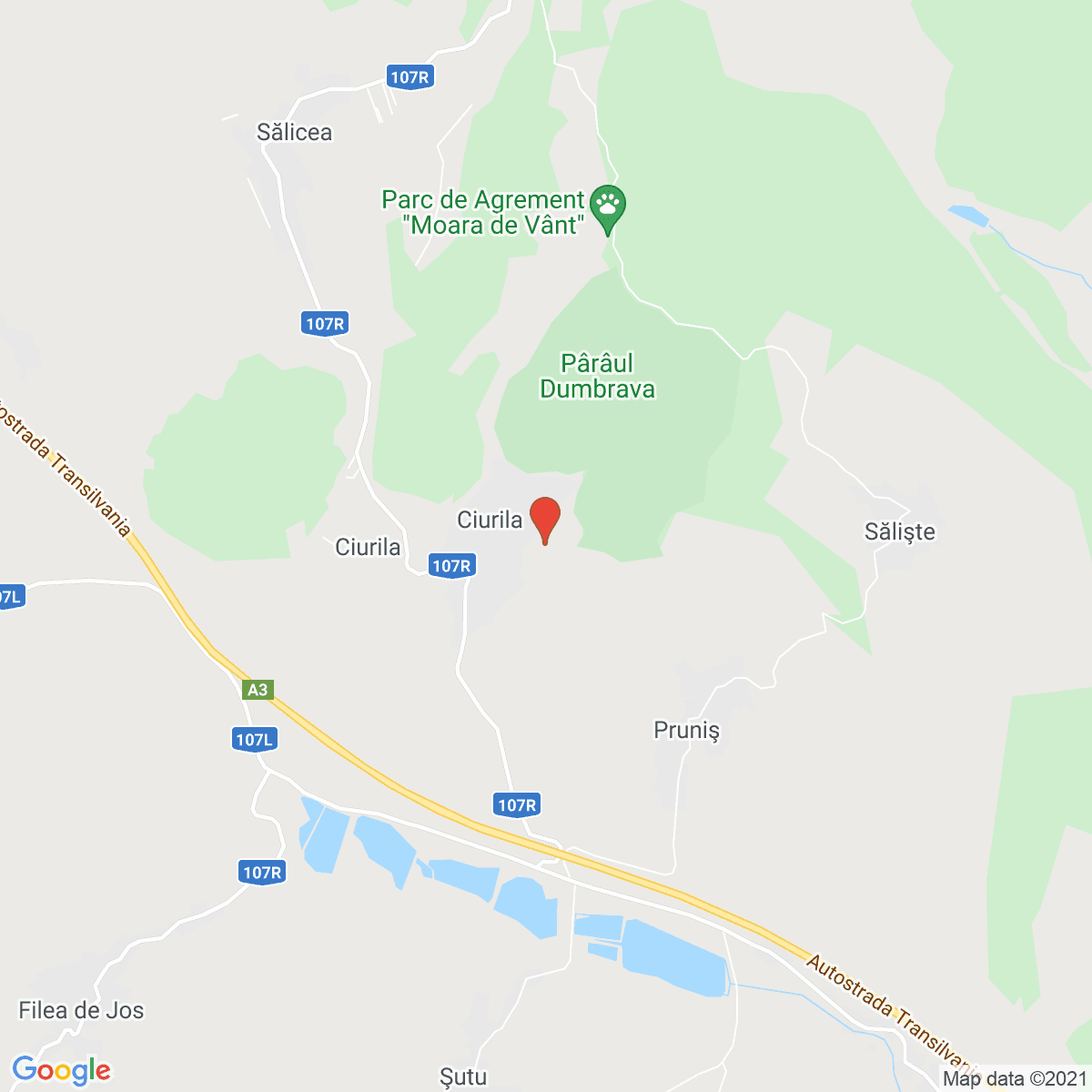 Ciurila