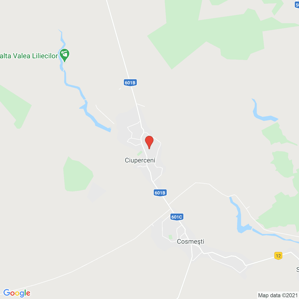 Ciuperceni