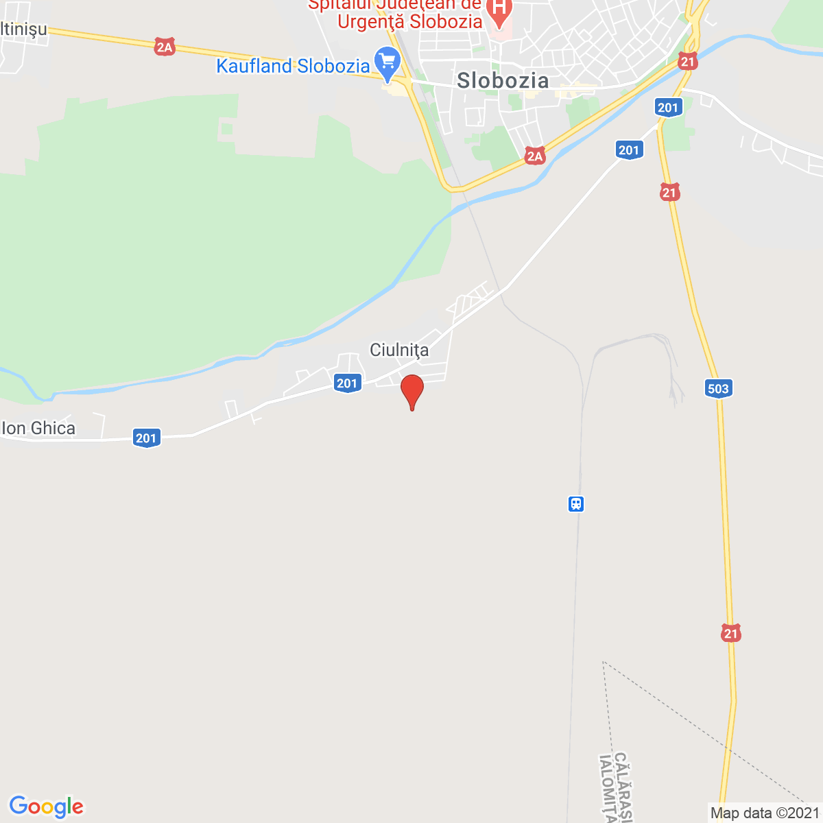 Ciulniţa