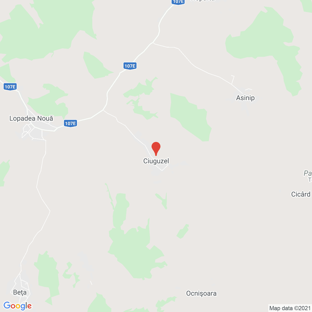 Ciuguzel