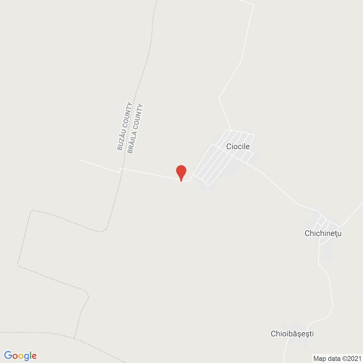 Ciocile