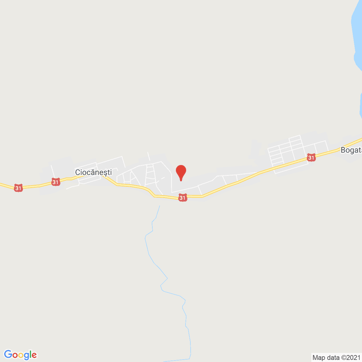 Ciocăneşti
