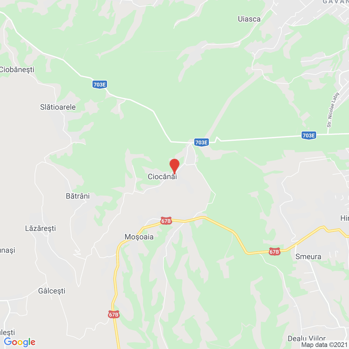 Ciocănăi