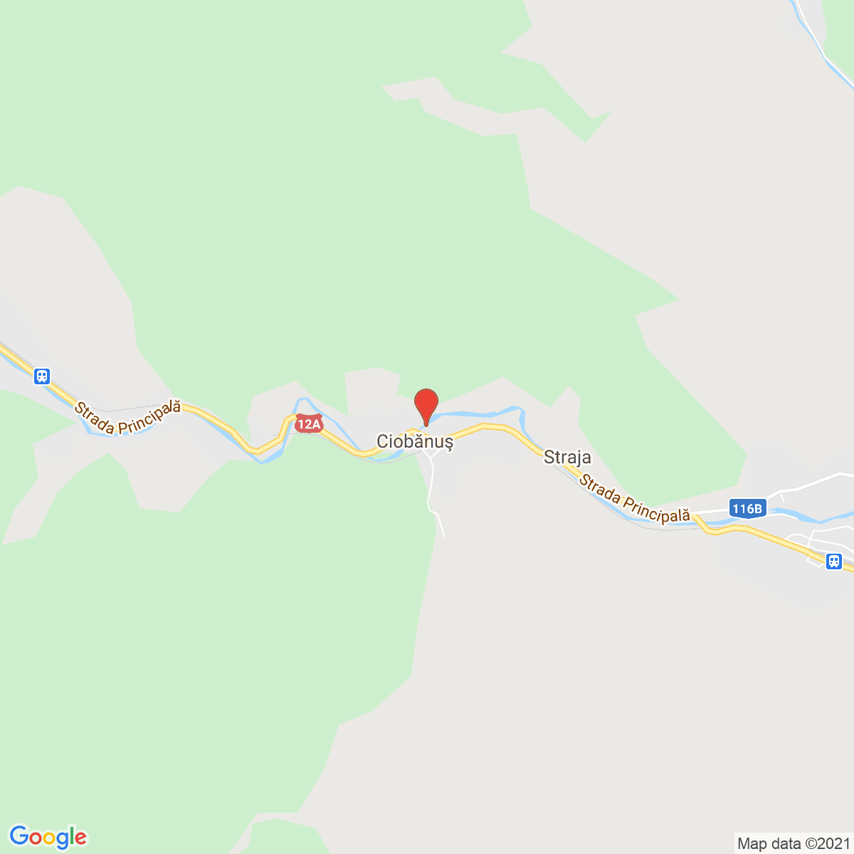 Ciobănuș