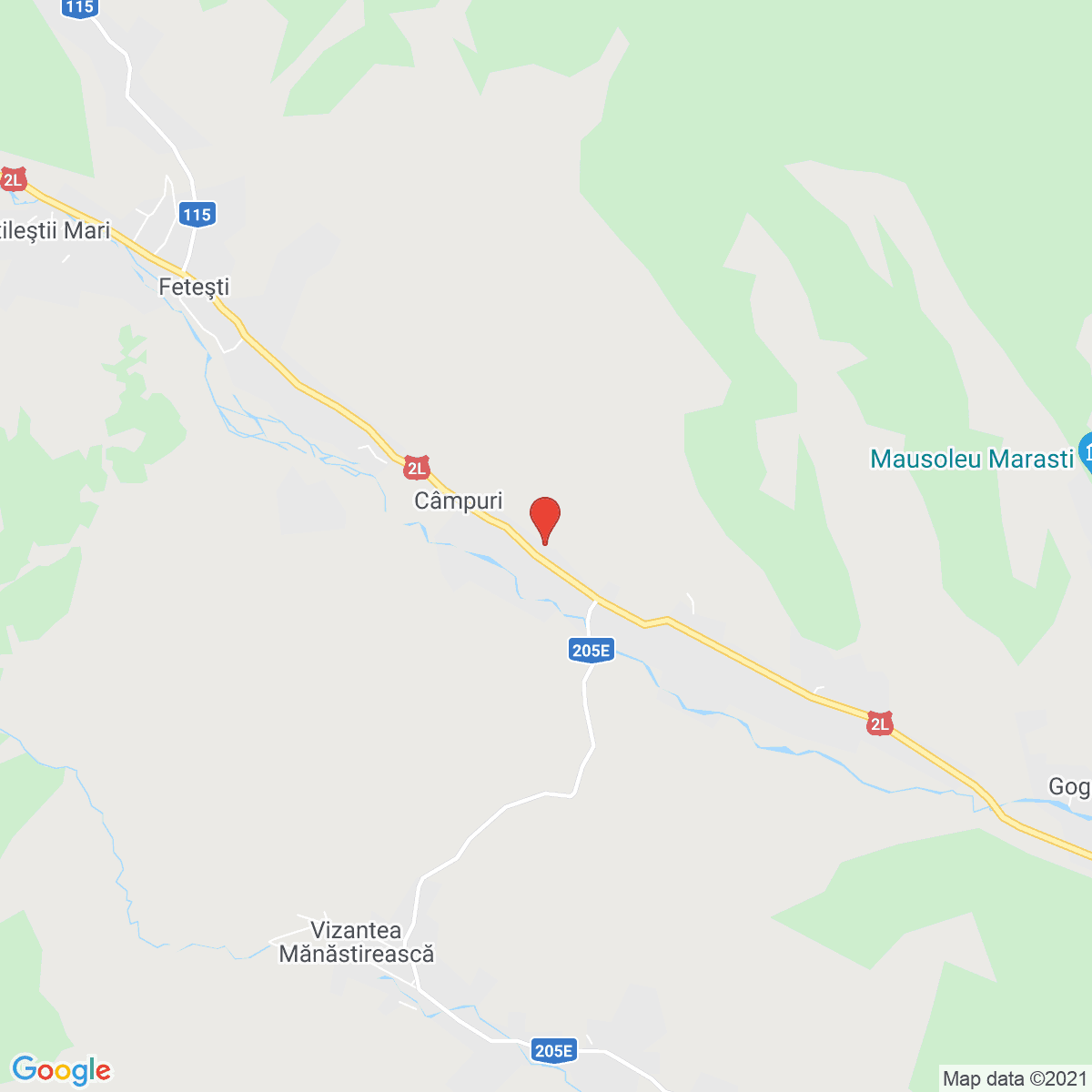 Câmpuri